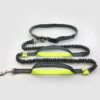 Amazon direct pet supplies multi-function running reflective pull dog leash double elastic dog leash traction - Image 8
